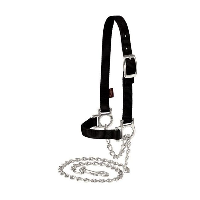 Nylon Adjustable Sheep Halter with Chain Lead  Blue image number null