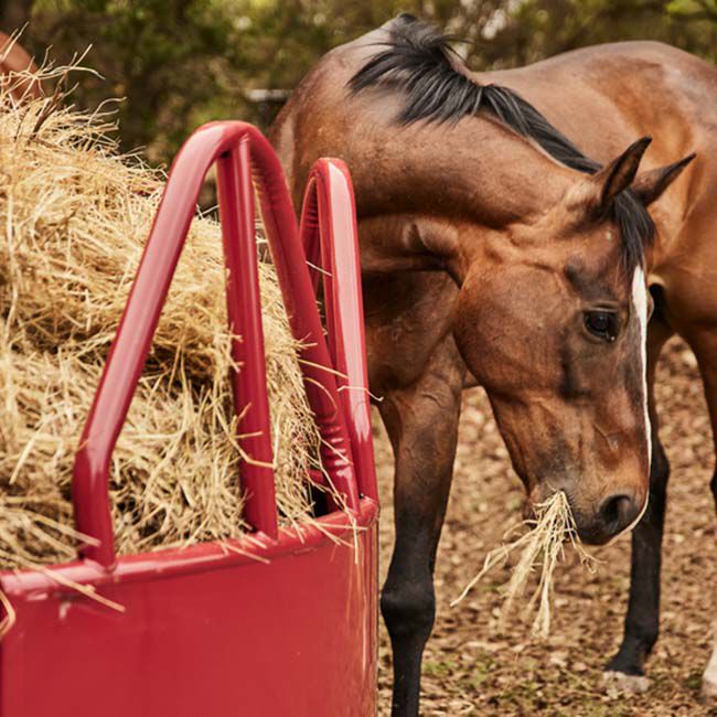 Tarter Equine Pro Hay Feeder with Hay Saver image number null