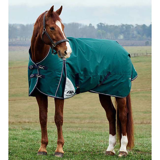 WeatherBeeta ComFiTec Plus Dynamic Turnout High Neck (220 g) - Forest Green/Navy image number null
