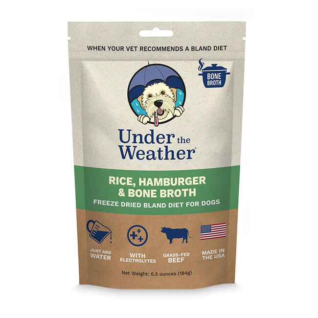 Under the Weather Bland Diet for Dogs - Hamburger, Rice & Bone Broth Recipe image number null
