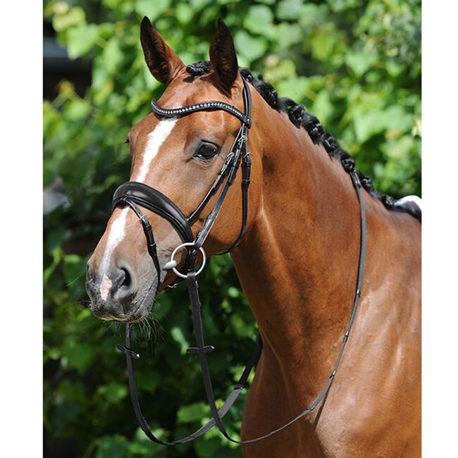 Passier Atlas Snaffle Bridle In store photo image number null