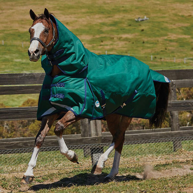 WeatherBeeta ComFiTec Plus Dynamic Detach-A-Neck Heavy (360g) - Hunter/Navy image number null