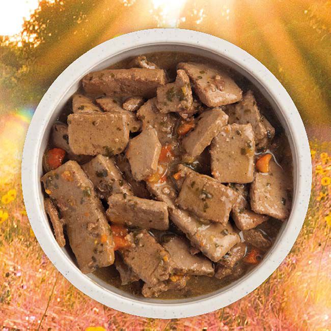ACANA Premium Chunks Dog Food - Beef Recipe in Bone Broth - 12.8 oz image number null