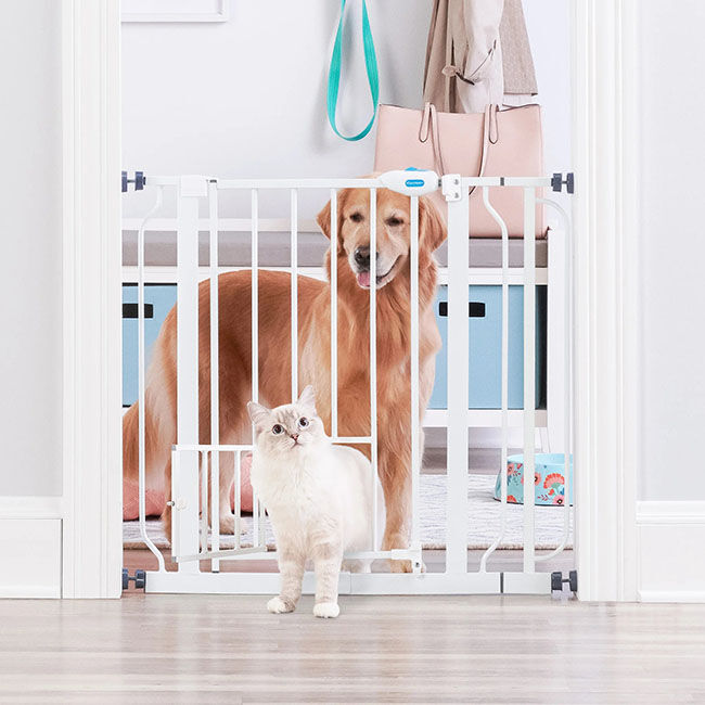 Carlson Extra Wide Walk-Thru Pet Gate with Small Pet Door image number null