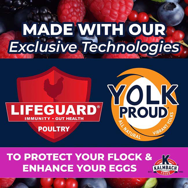 Kalmbach Feeds Henhouse Reserve Block - Summer Berry - 20 lb image number null