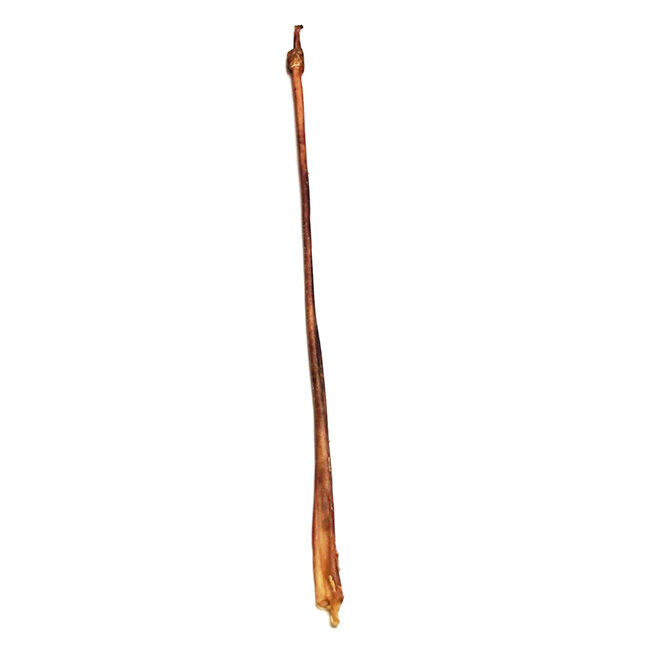 Tuesday's Natural Dog Company Odor-Free Bully Cane image number null