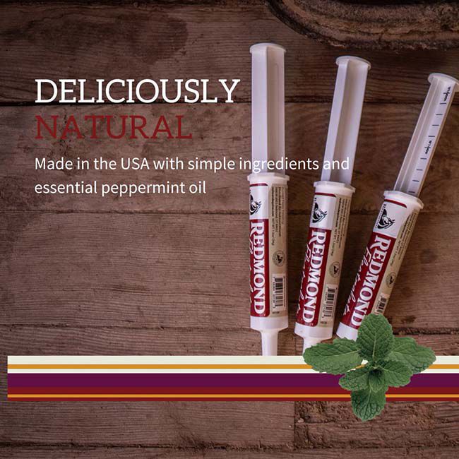 Redmond Equine Electrolyte Paste - 40 cc Syringe image number null