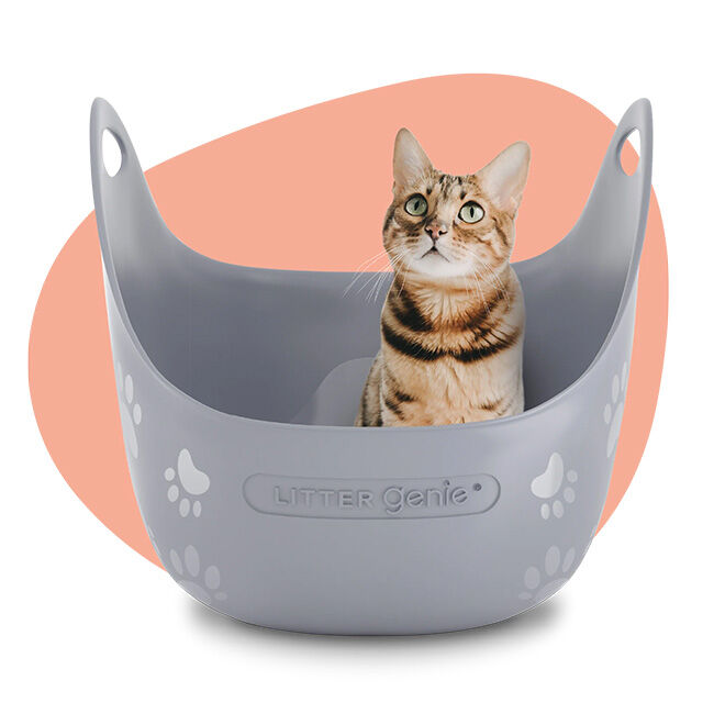 Litter Genie Litter Box image number null