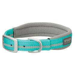 Terrain D.O.G. Reflective Neoprene-Lined Collar - Mint