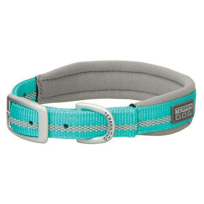 Terrain D.O.G. Reflective Neoprene-Lined Collar - Mint image number null