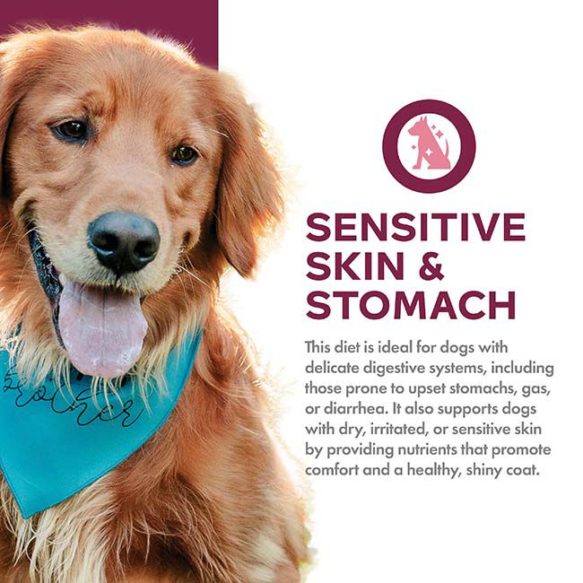 Fromm Nutritionals Sensitive Skin & Stomach Dog Food - Salmon & Whole Oats Recipe image number null