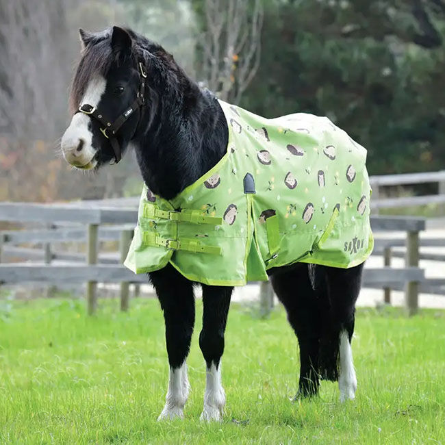 Saxon 600D Pony Standard Neck Lite Turnout Sheet - Hedgehogs & Flowers Print - Closeout image number null