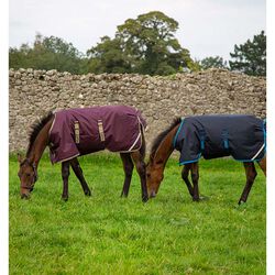 Horseware Amigo Ripstop Foal Turnout - 200g Medium