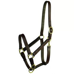 Gatsby Adjustable Leather Turnout Halter with Snap
