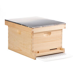 Little Giant 10-Frame Complete Bee Hive