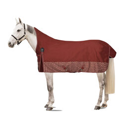 Horze Avalanche Turnout Rug with High Neck (150g) - Smoked Paprika