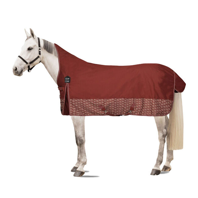 Horze Avalanche Turnout Rug with High Neck (150g) - Smoked Paprika image number null