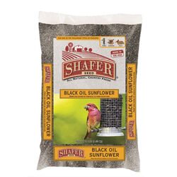 Shafer Black Oil Sunflower Seed Bird Food 20 lb