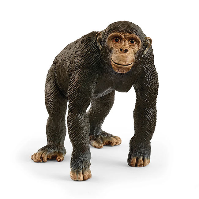 Schleich Chimpanzee image number null