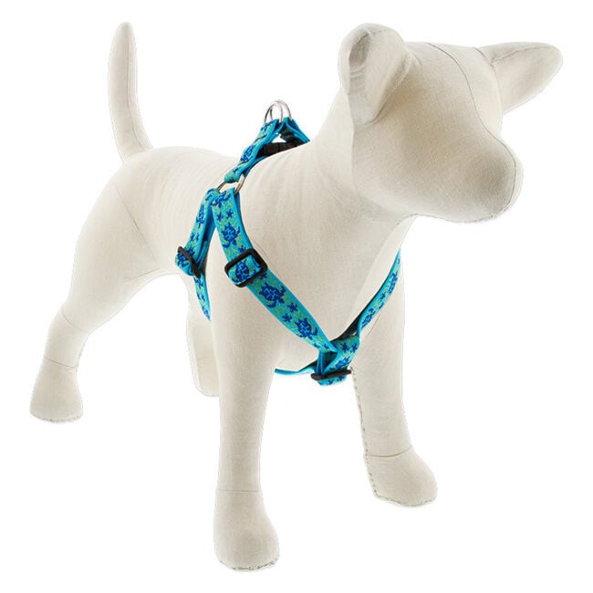 Lupine Pet Original Designs Step-In Dog Harness - Reef Turtle image number null