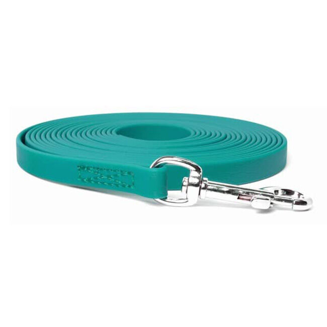 E-Collar Technologies 15' Biothane Leash image number null