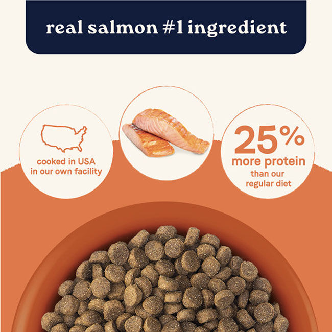 Canidae All Life Stages Dog Food - High Protein 30/20 for Active Dogs - Real Salmon & Ancient Grains Recipe image number null