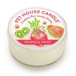 Pet House Candle Mini Candle - Tropical Fruit
