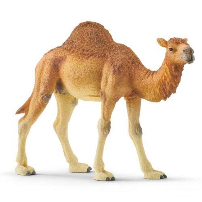 Schleich Dromedary Toy image number null