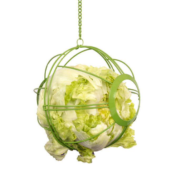 Ware Pet Products Chick-N-Veggie Ball image number null