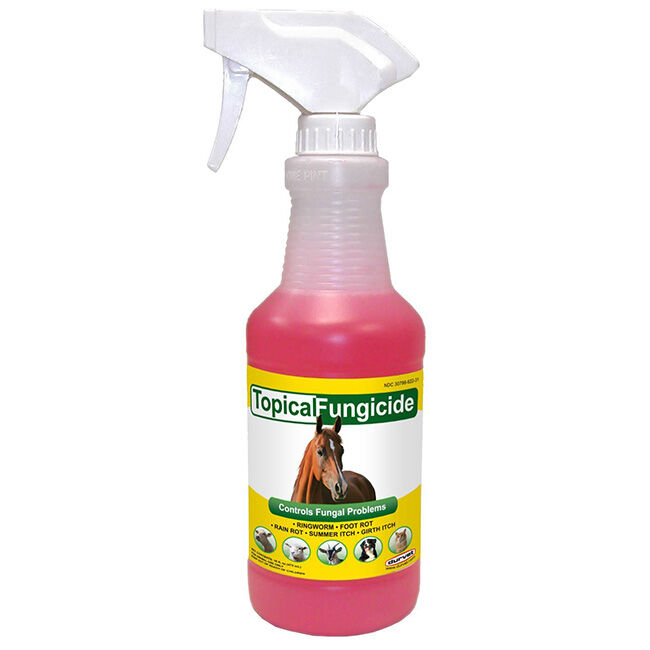 Durvet Topical Fungicide image number null