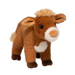 Douglas Belle the Jersey Cow