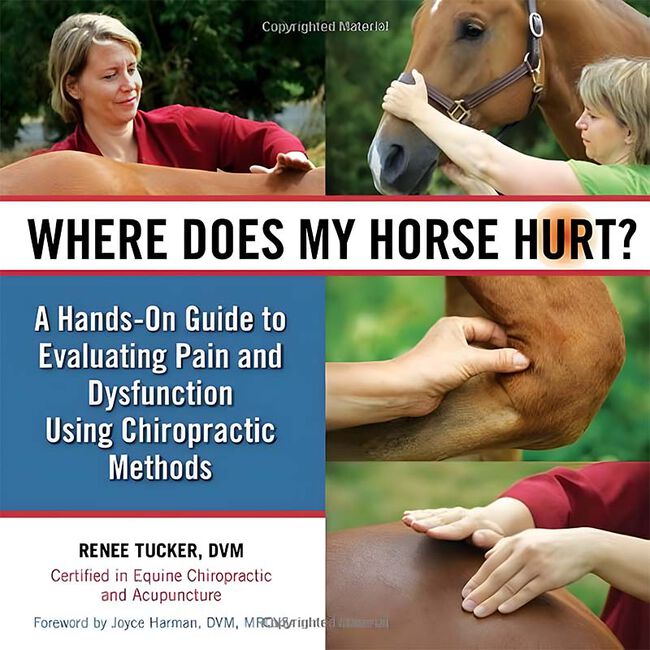 Know Better to Do Better: Mistakes I Made with Horses (So You Don't Have To) image number null