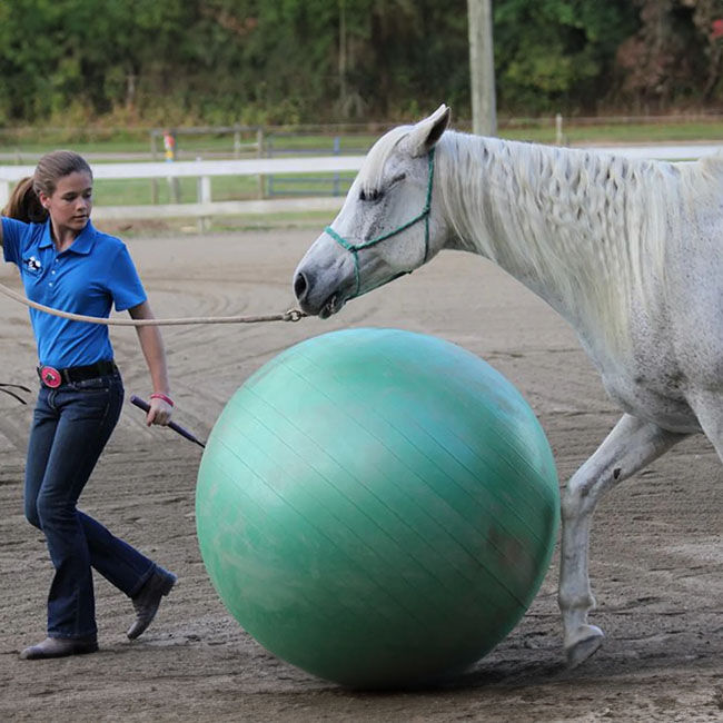 Parelli Green Ball image number null