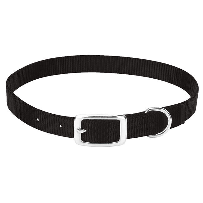 Weaver Livestock Goat Collar image number null