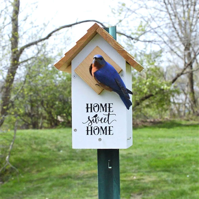 Nature's Way Farmhouse Bluebird House image number null