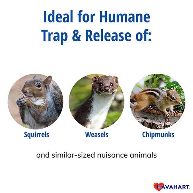 Havahart Small 1-Door Live Animal Trap image number null