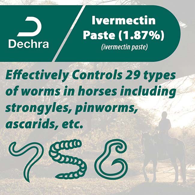 Dechra Ivermectin Paste 1.87% - Apple Flavor - 0.21 oz image number null