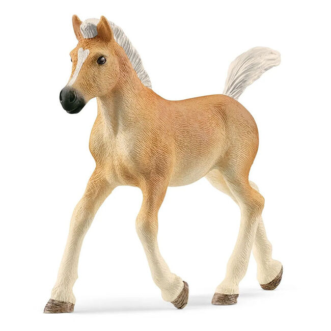 Schleich Haflinger Foal image number null