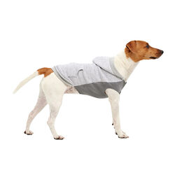 Goo-eez Kangaroo Fleece Hoodie for Dogs - Heather Grey