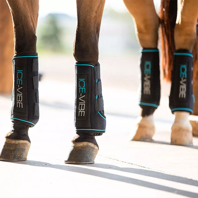 Horseware Ice-Vibe Boots image number null