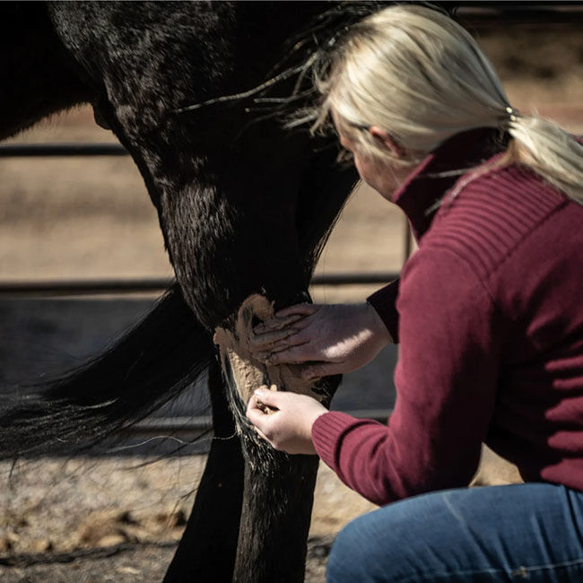 017333-2.jpg image number null