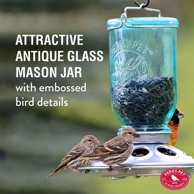 Perky-Pet Mason Jar Seed Bird Feeder image number null