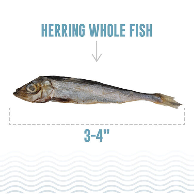 Icelandic+ Herring Whole Fish Cat Treats - 1 oz image number null