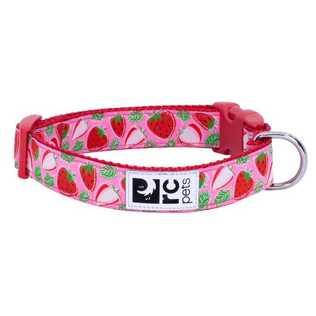 RC Pets Clip Dog Collar - Strawberries image number null