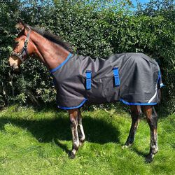 Horseware Amigo Ripstop 900D Foal Turnout (200g) - Black/Classic Blue