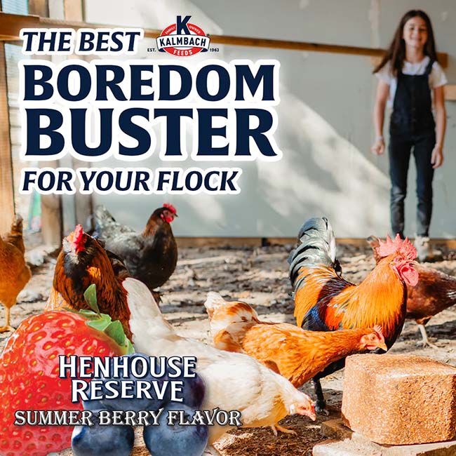 Kalmbach Feeds Henhouse Reserve Block - Summer Berry - 20 lb image number null