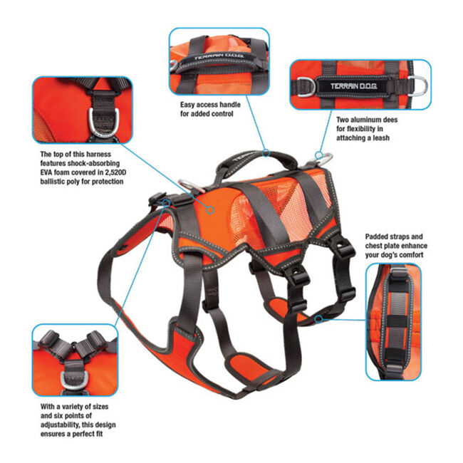 Terrain D.O.G. High-Vis Dog Harness - Orange image number null