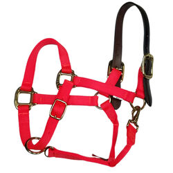 Triple E Breakaway 1” Adjustable Nylon Halter