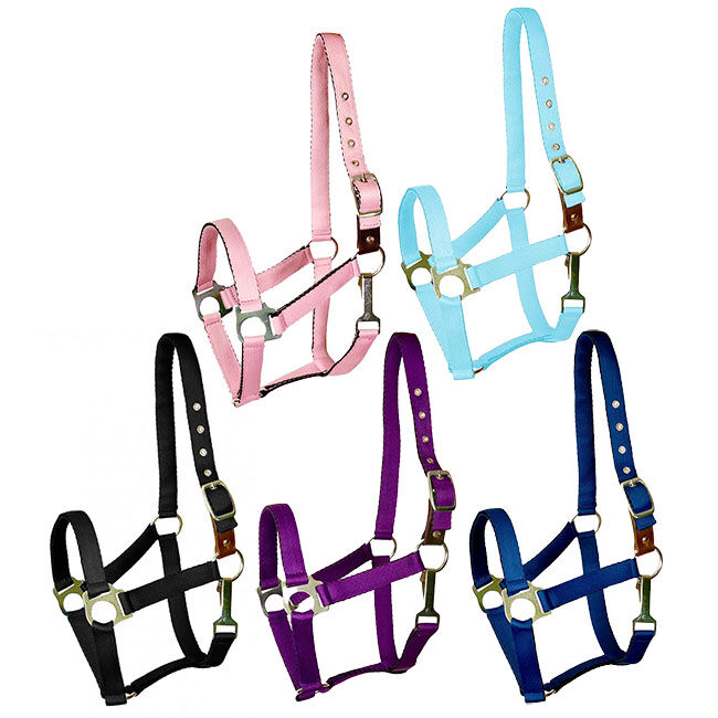 Gatsby Ultra Soft Nylon Safety Halter image number null