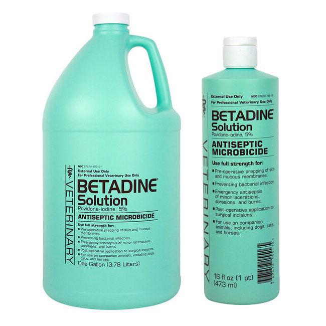 can you put betadine on a dog